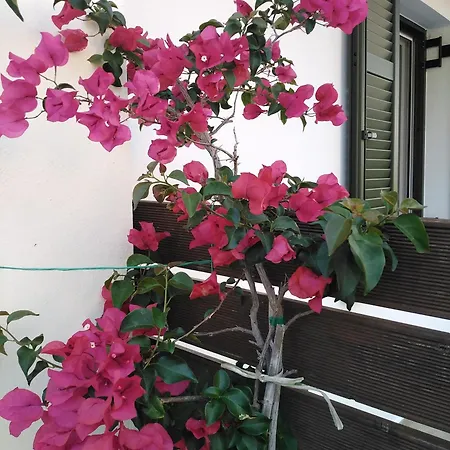 Nostalgia B In 50 Meters From The Sea * סאמי